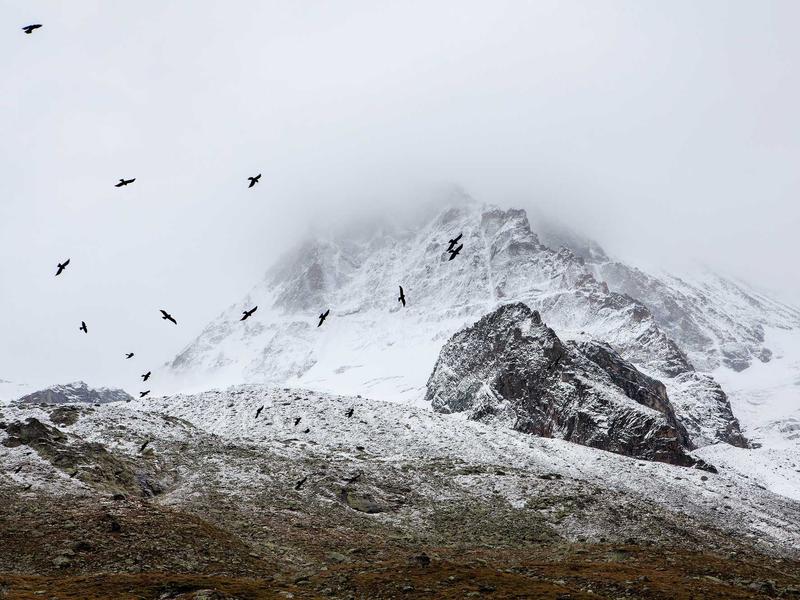 sudoku smart puzzle screenshot 6